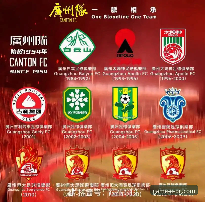 恒大“金元足球”兴衰与风险规避详解